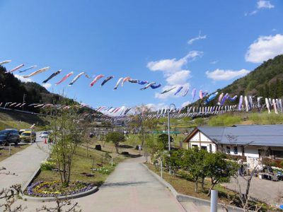 長沢の鯉のぼり