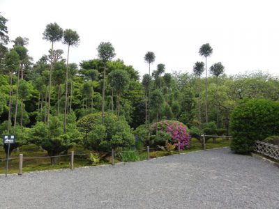 龍安寺の奥の庭