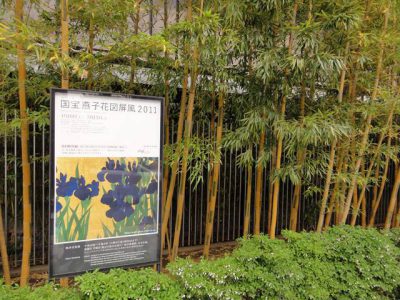 国宝燕子花図屏風 2011