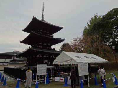 興福寺三重塔