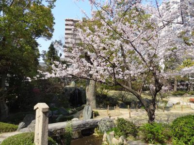 極楽浄土の庭