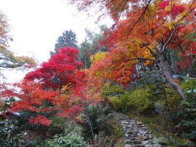 直指庵