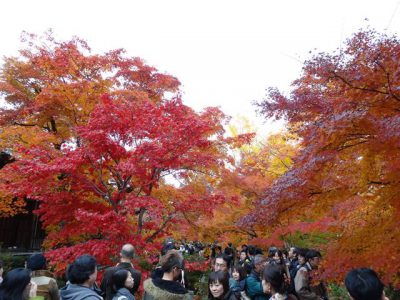 常寂光寺