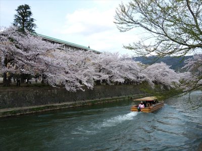 岡崎公園辺り