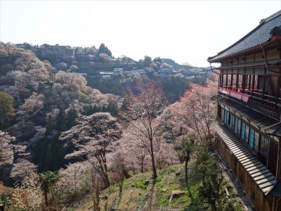 如意輪寺からの景色