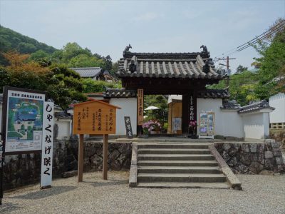 西南院