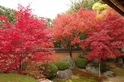 大徳寺 興臨院