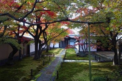 大徳寺 黄梅院