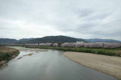 背割堤