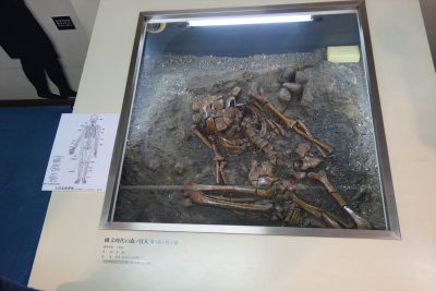 縄文時代の人骨