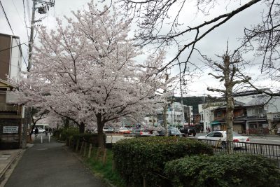 銀閣寺道交差点の手前