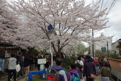 哲学の道