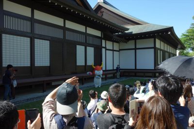 ひこにゃん