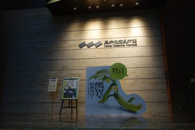 三井記念美術館