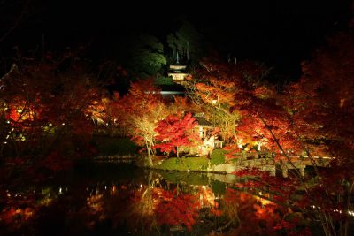 永観堂の紅葉
