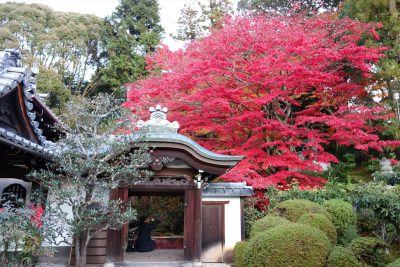 栄摂院