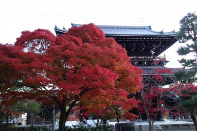 金戒光明寺 山門