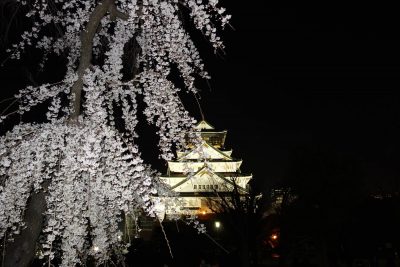 大阪城天守閣