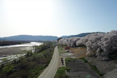 背割堤