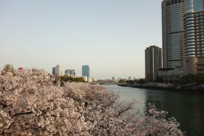 毛馬桜之宮公園
