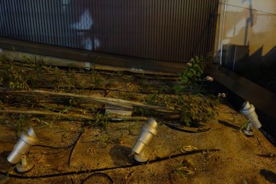 なんばスカイオ近くの植栽
