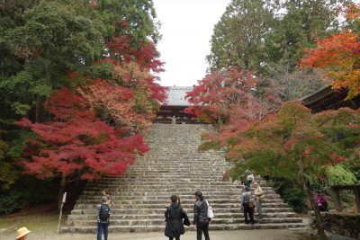神護寺金堂前の階段