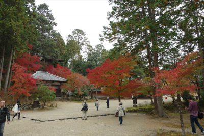 神護寺境内