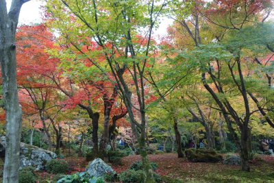 圓光寺