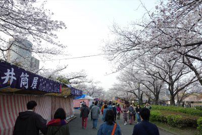 毛馬桜之宮公園