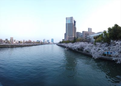 毛馬桜之宮公園
