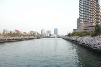 毛馬桜之宮公園