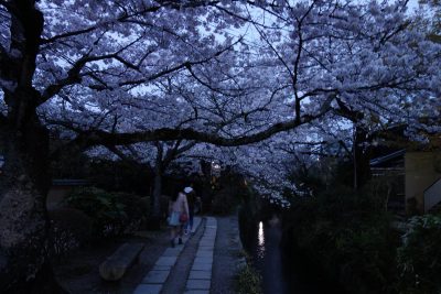 哲学の道