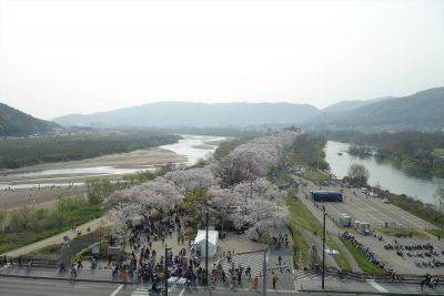背割堤