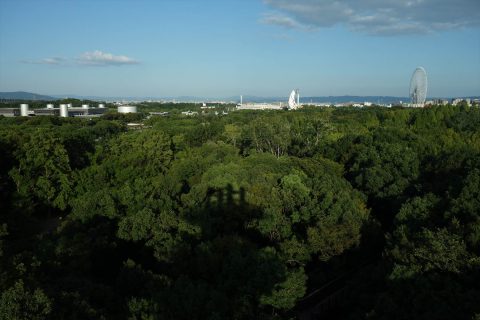 ソラードからの万博公園