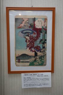 雪月花 山城　清水花