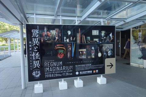 国立民族学博物館 特別展示場