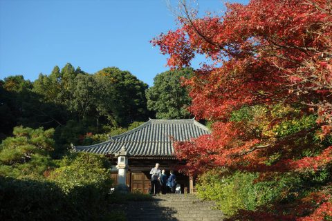 興福院 本堂