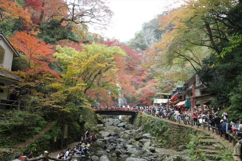 箕面の滝