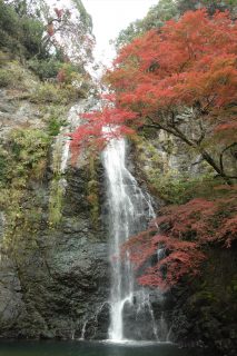 箕面の滝