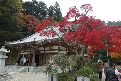 瀧安寺 観音堂