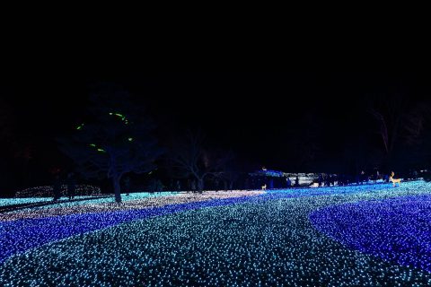 奈良春日野国際フォーラム