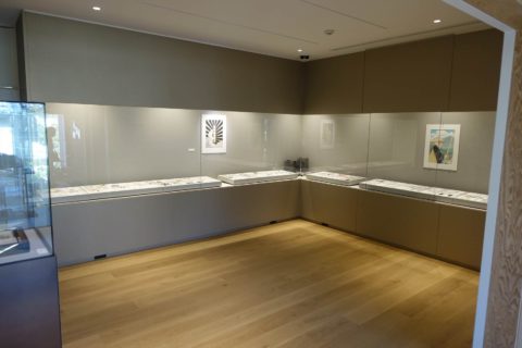 ZENBI展示室