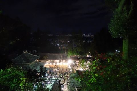 宝山寺多宝塔からの景色