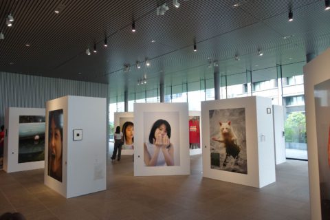  赤鹿麻耶「Osaka Directory 1」