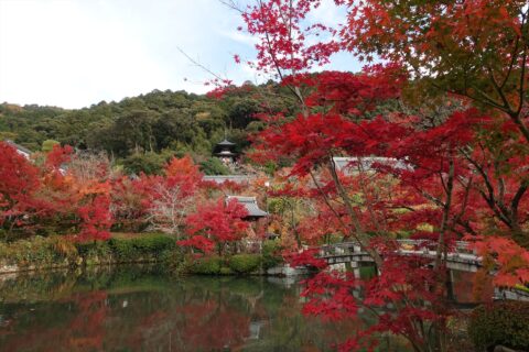 永観堂