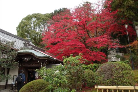 栄摂院
