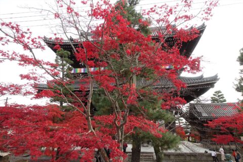 金戒光明寺
