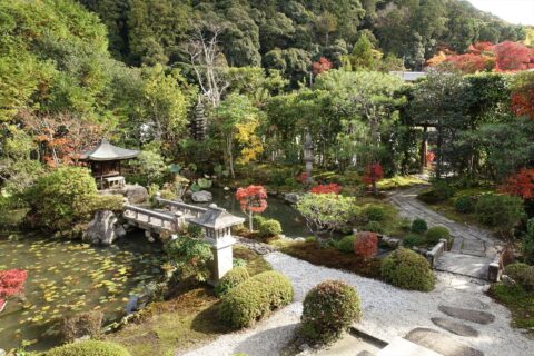 南陽院庭園