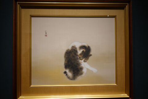 竹内栖鳳 班猫