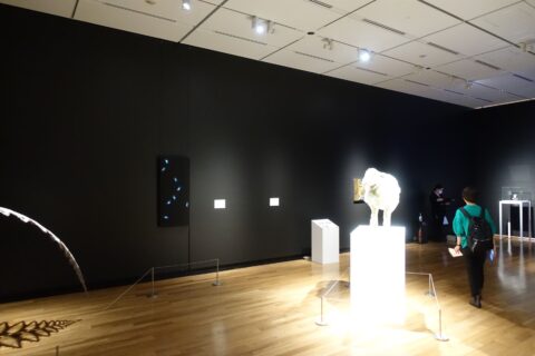 展覧会の様子